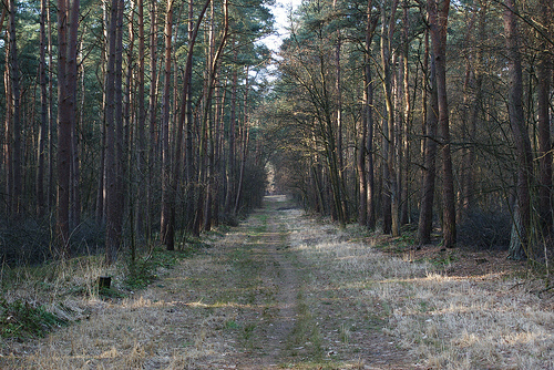 Hoge Kempen National Park